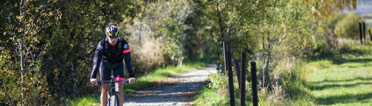 Header Camí de Sant Jaume