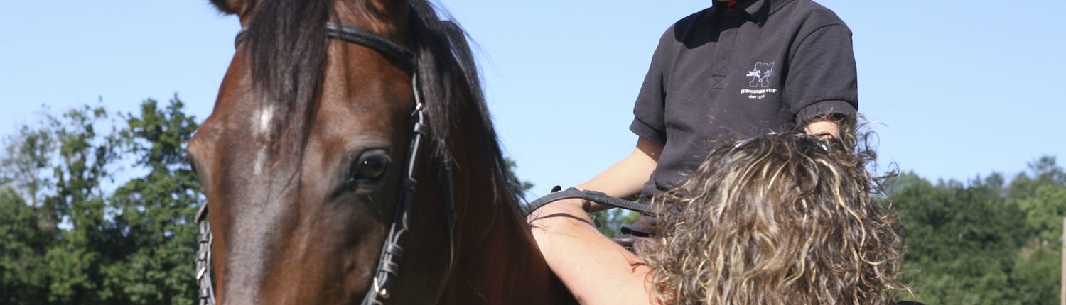 Header Horse riding lessons