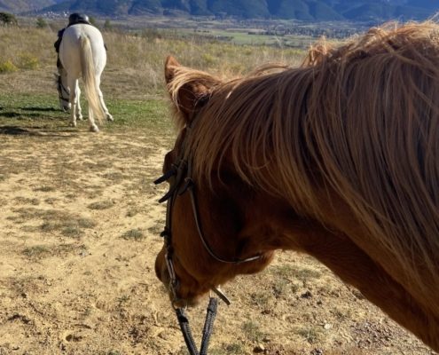 Cerdanya Equestre