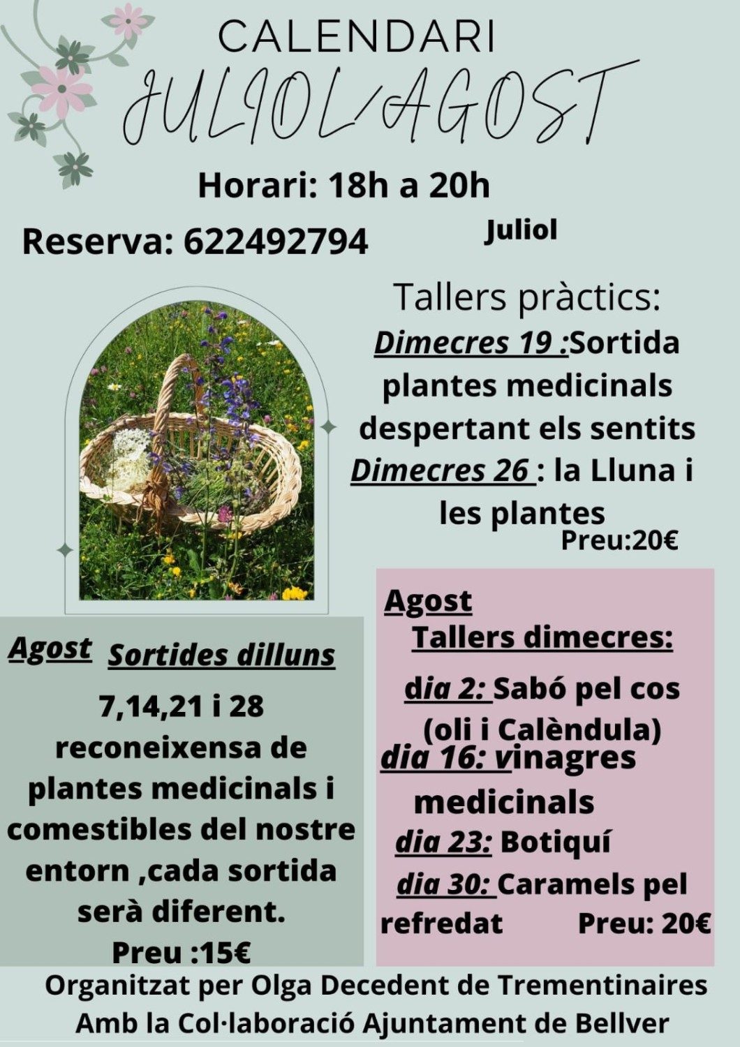 Cursos de plantes d'Olga Domingo, trementinaire