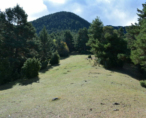 Coll de la Creu del Barret