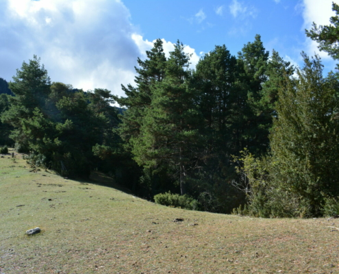 Coll de la Creu del Barret