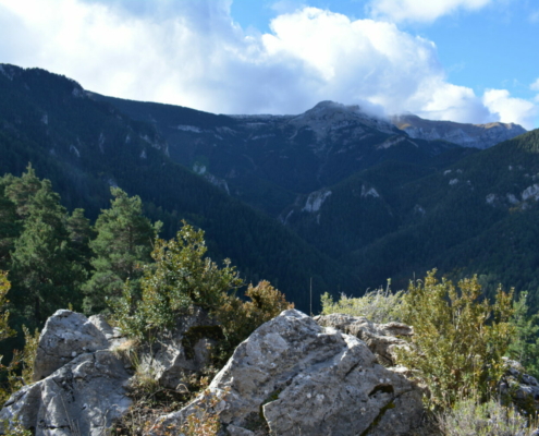 Coll de la Creu del Barret