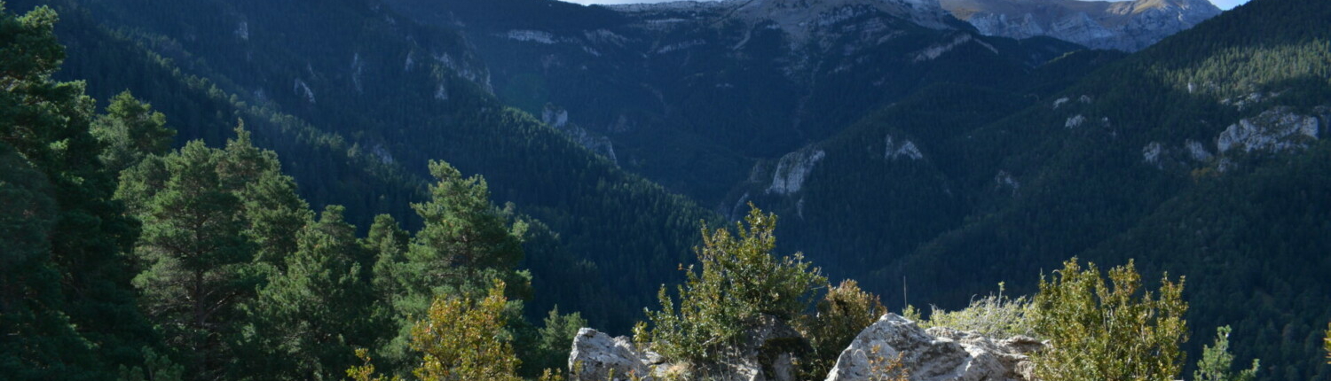 Header Coll de la Creu del Barret