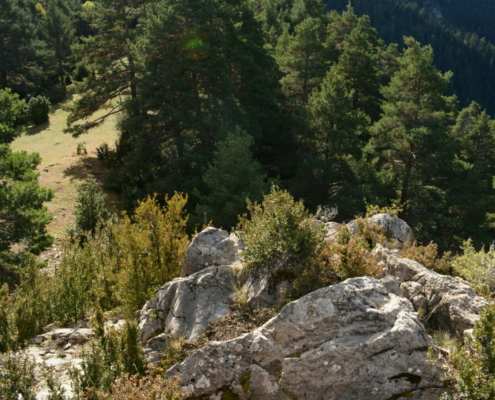 Coll de la Creu del Barret