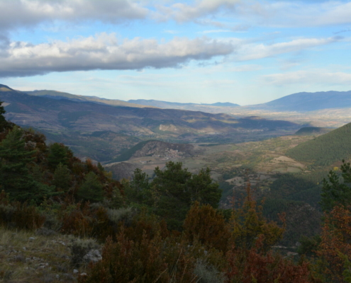 Pla de l'Àliga