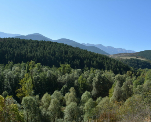 Mirador de Prullans