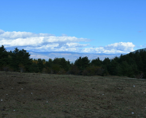 Serrat de les Esposes