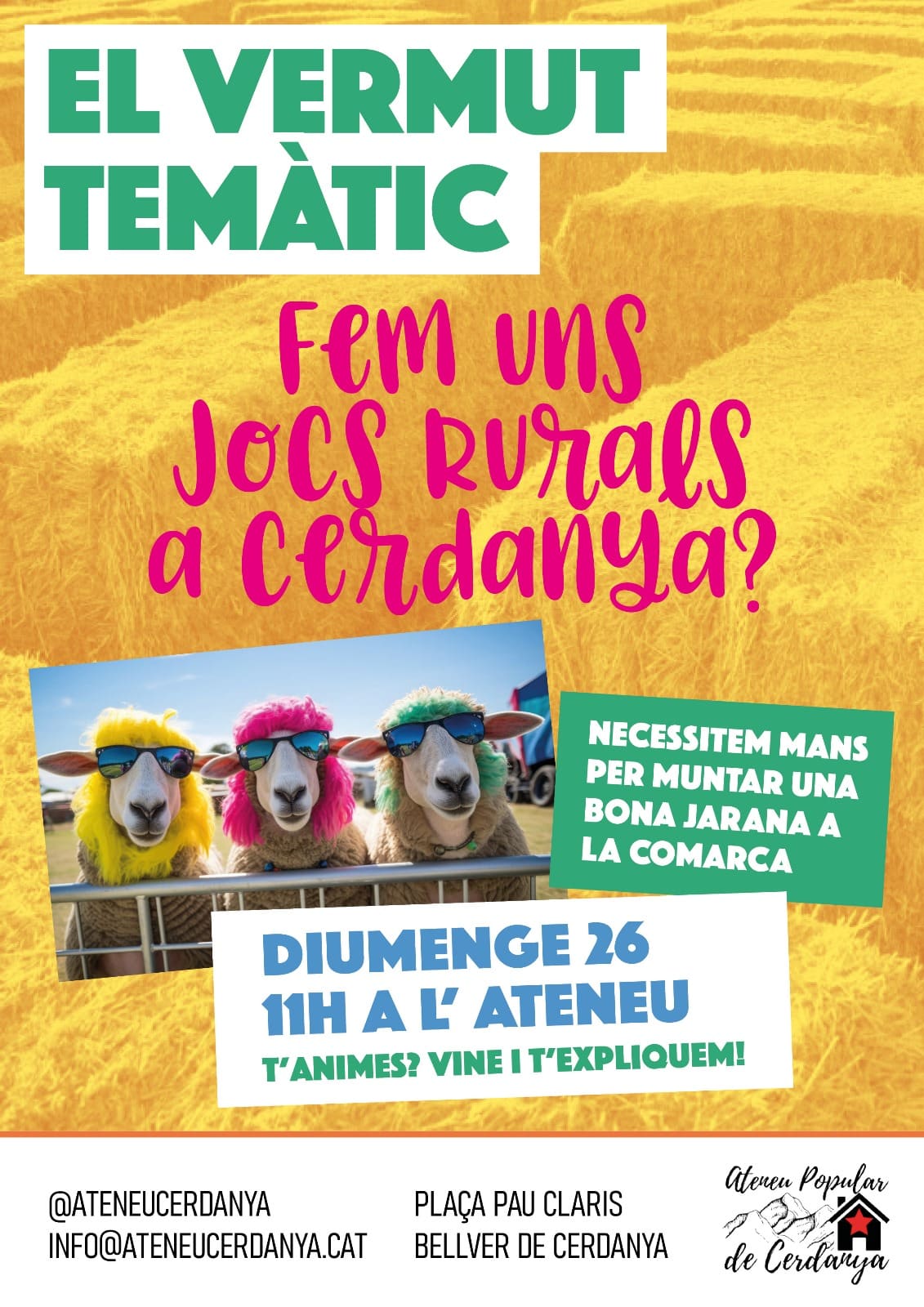 Vermut Temàtic: "Dinamitzem la comarca: fem uns Jocs Rurals a Cerdanya?"