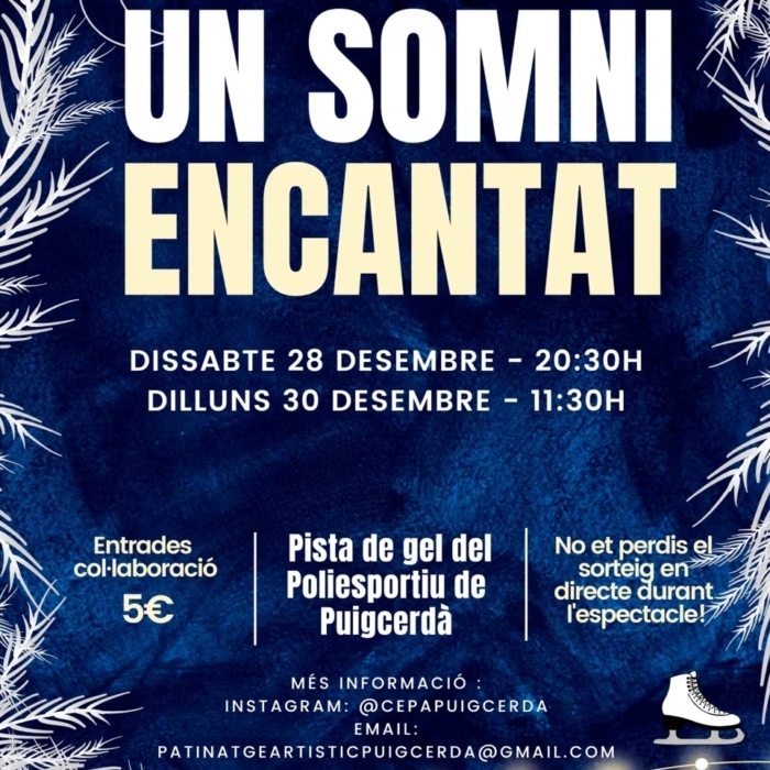 Un Somni Encantat: Festival de patinatge sobre gel