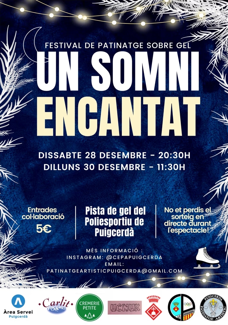 Un Somni Encantat: Festival de patinatge sobre gel