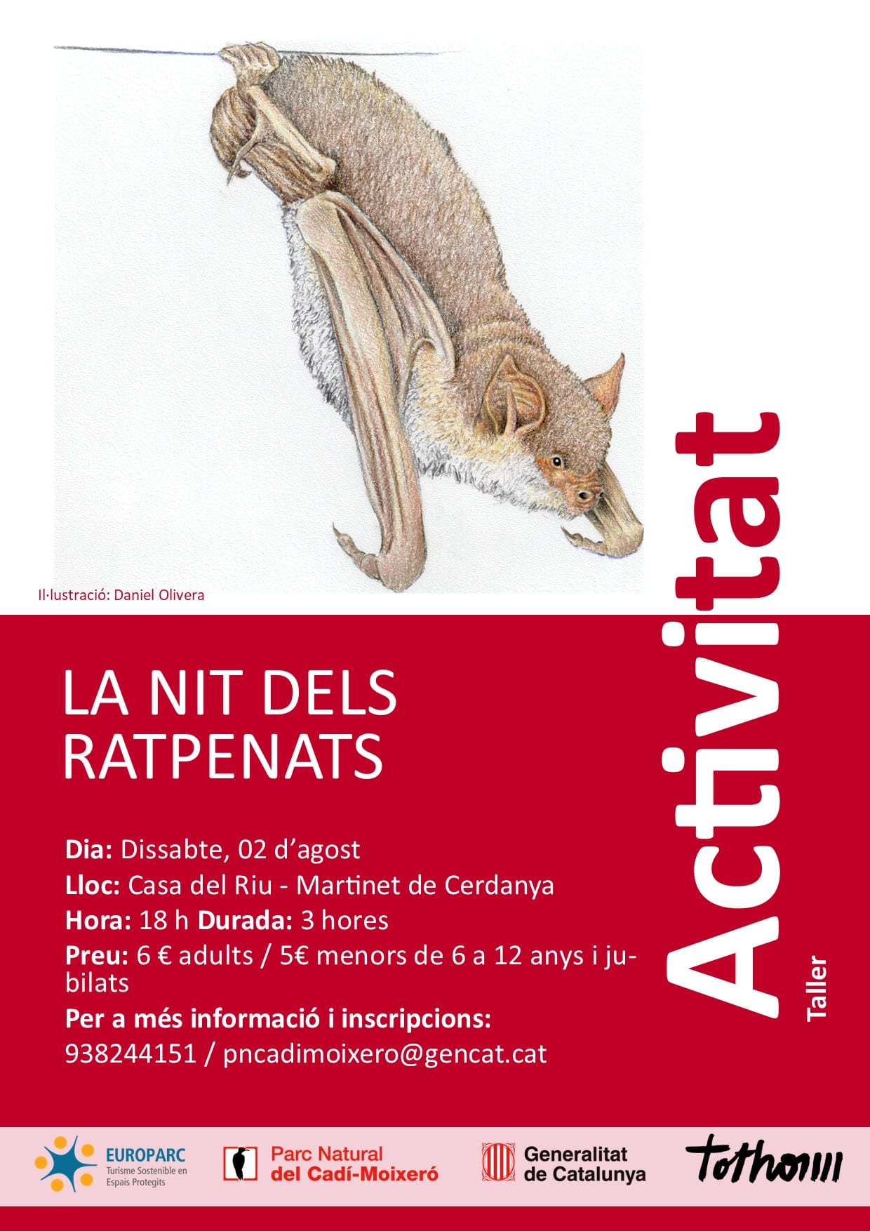 La nit dels Ratpenats