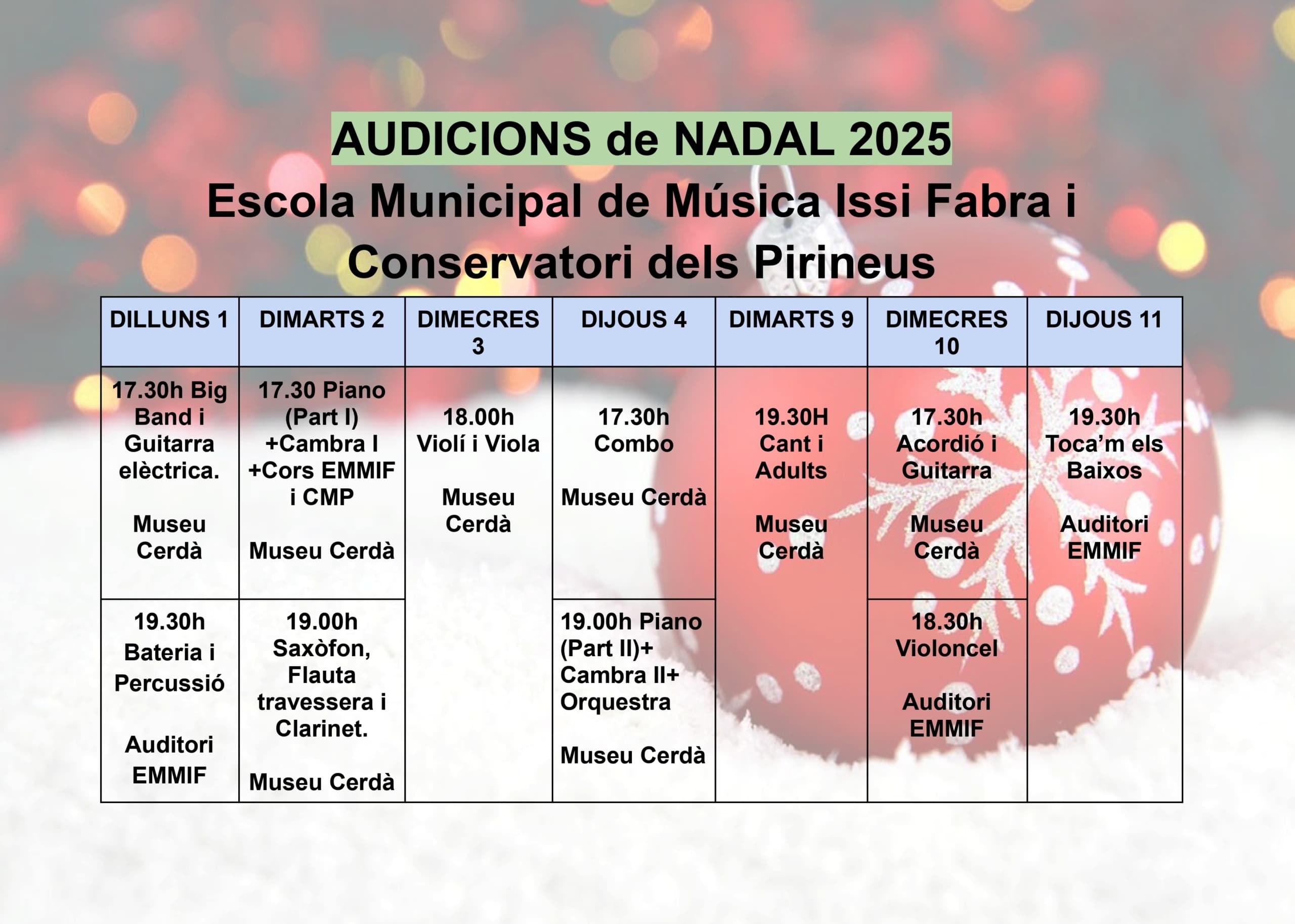 Audicions Escola Municipal de Música Issi Fabra