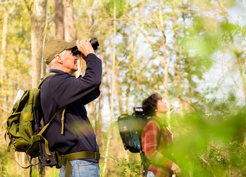 Formació Turisme ornitològic a la Cerdanya Formació Turisme ornitològic a la Cerdanya
