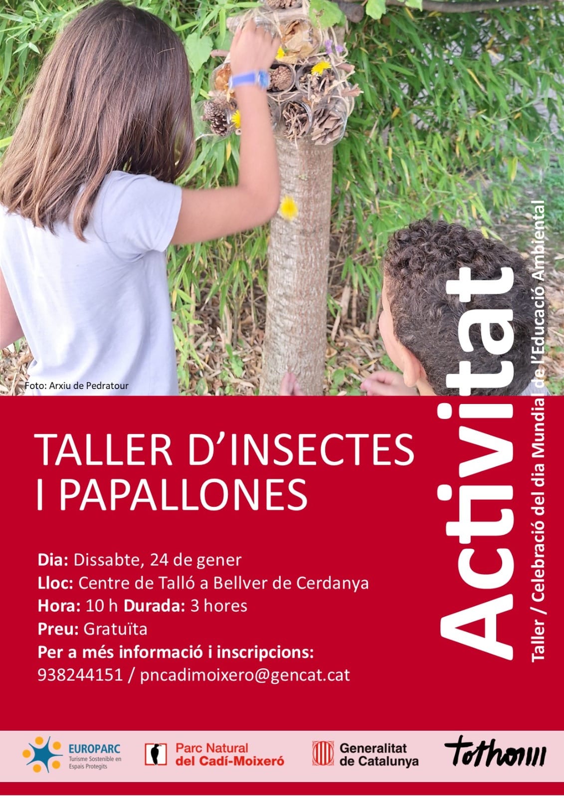 Taller d'insectes i papallones